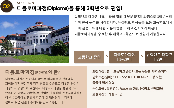 디플로마 과정